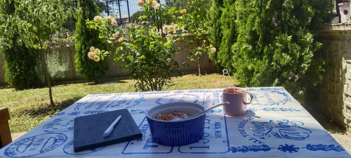 Anın Fotoğrafı
