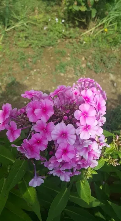 Anın Fotoğrafı