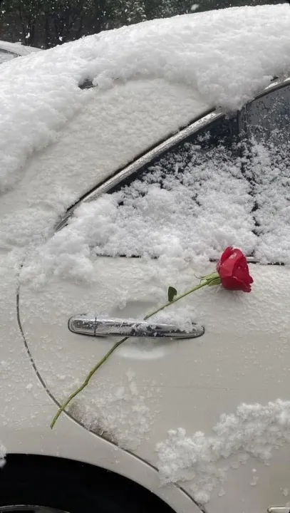 Anın Fotoğrafı