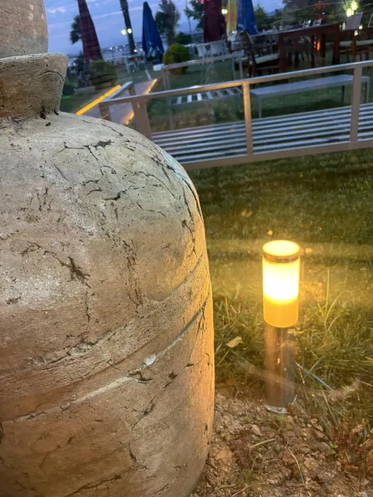 Anın Fotoğrafı