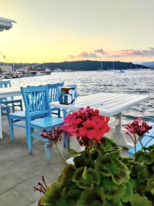 Anın Fotoğrafı