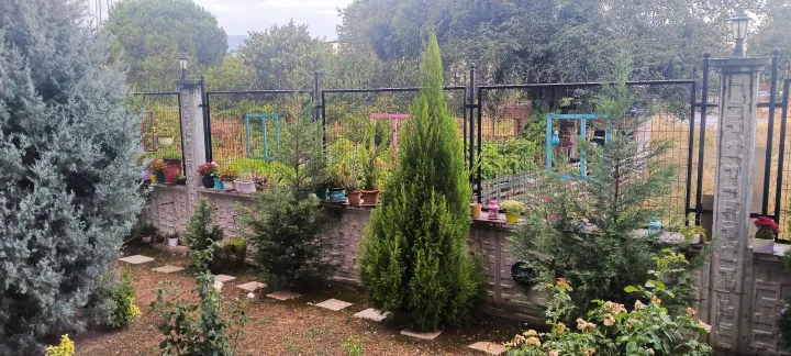 Anın Fotoğrafı
