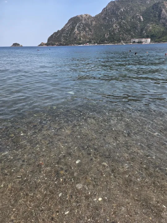 Anın Fotoğrafı