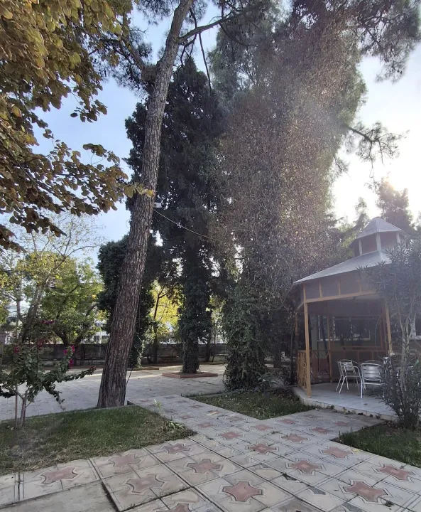 Anın Fotoğrafı