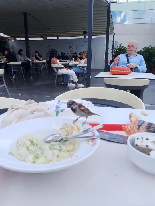 Anın Fotoğrafı