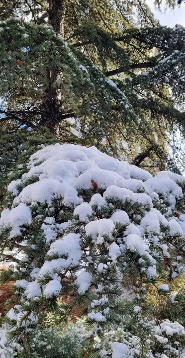 Anın Fotoğrafı