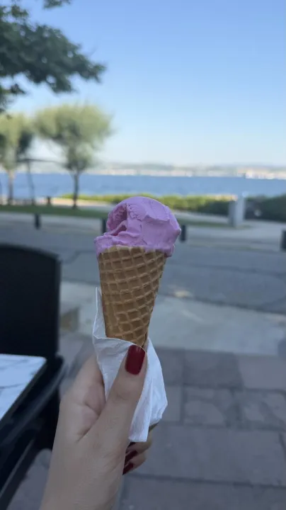Anın Fotoğrafı