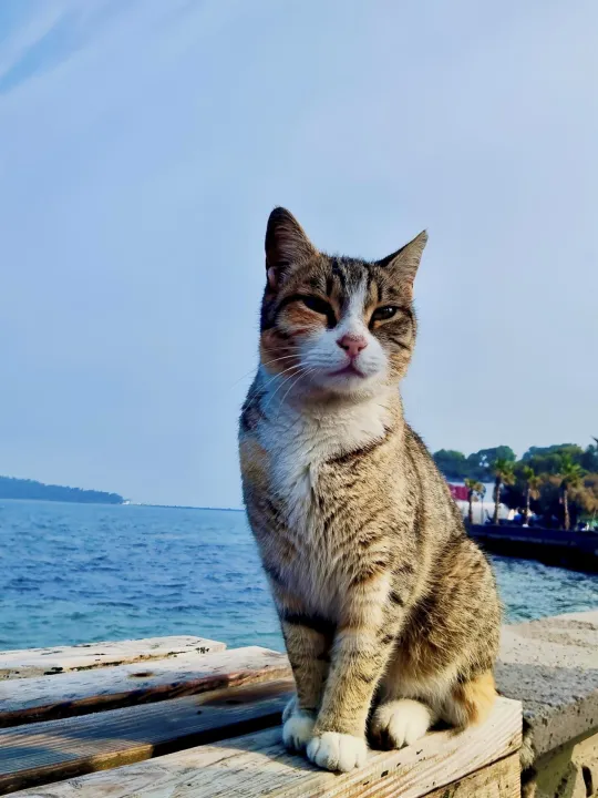 Anın Fotoğrafı
