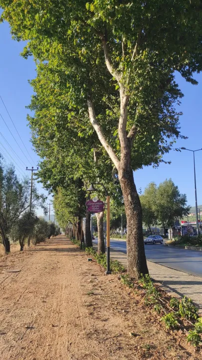 Anın Fotoğrafı