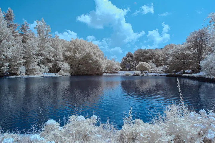 Anın Fotoğrafı