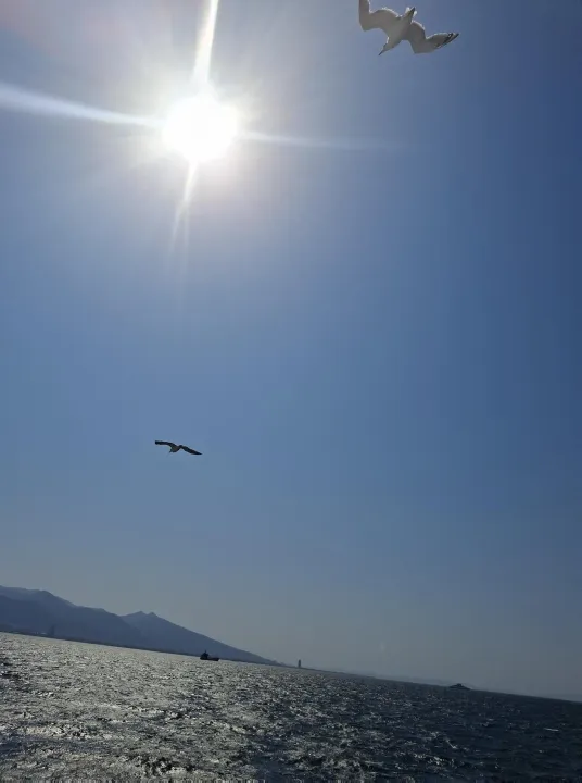 Anın Fotoğrafı
