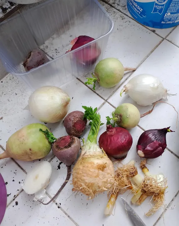Çoklu paylaşım
