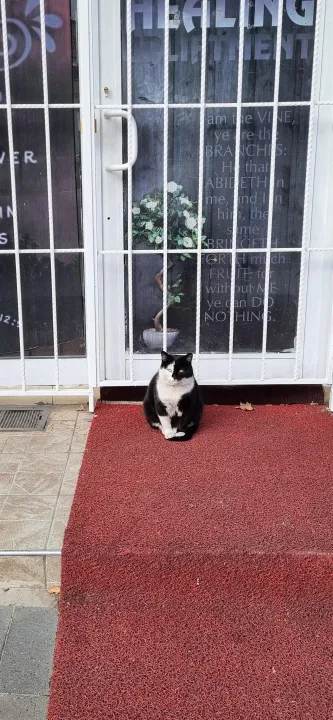 Anın Fotoğrafı