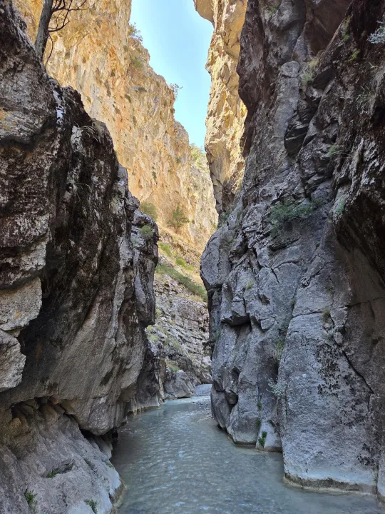 Anın Fotoğrafı
