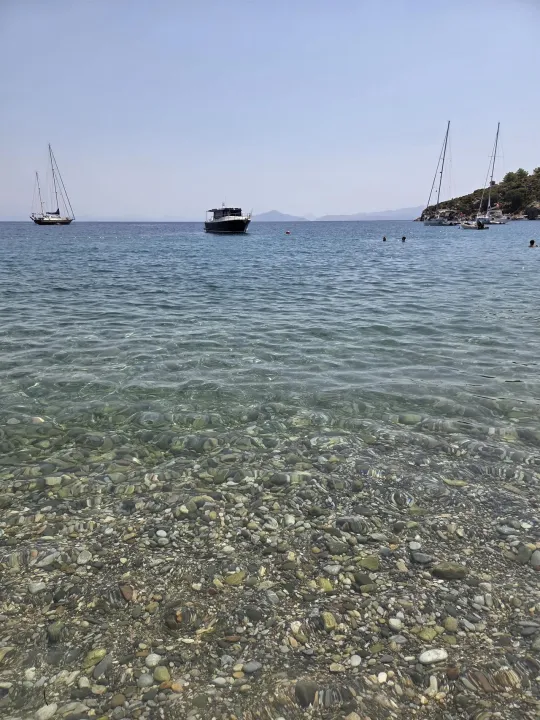 Anın Fotoğrafı