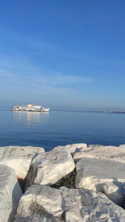Anın Fotoğrafı