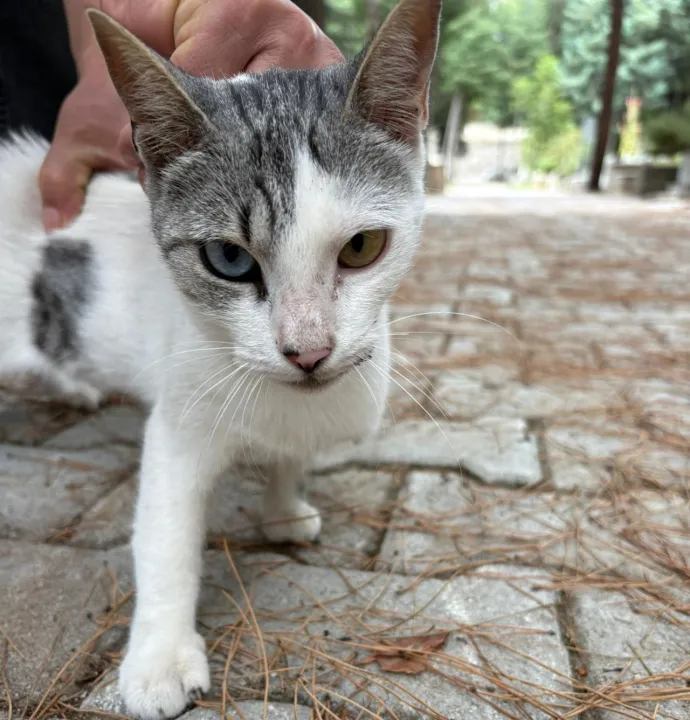 Anın Fotoğrafı