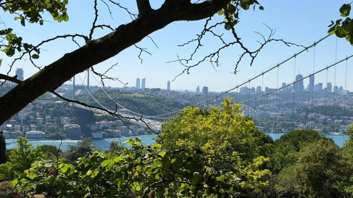 Anın Fotoğrafı