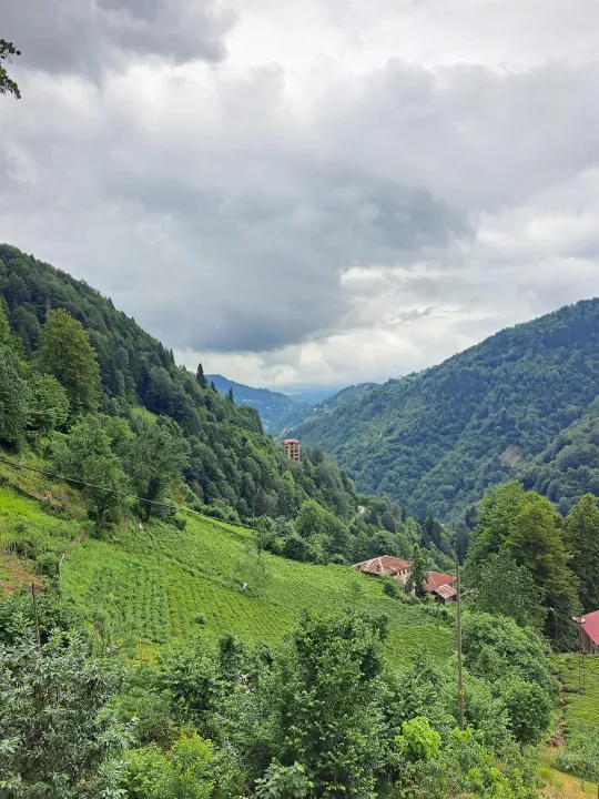Anın Fotoğrafı