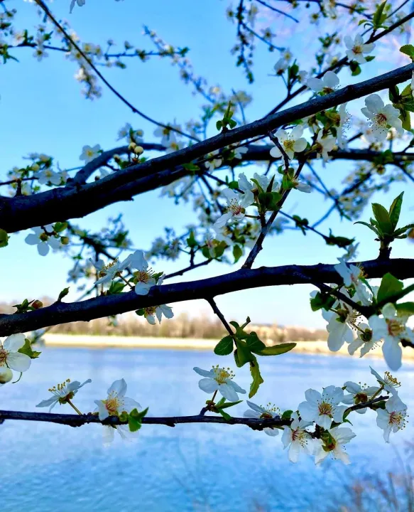 Anın Fotoğrafı