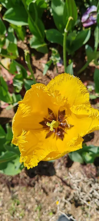 Anın Fotoğrafı