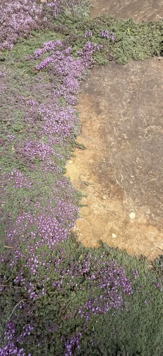 Anın Fotoğrafı