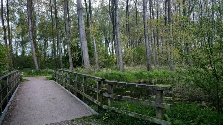 Anın Fotoğrafı
