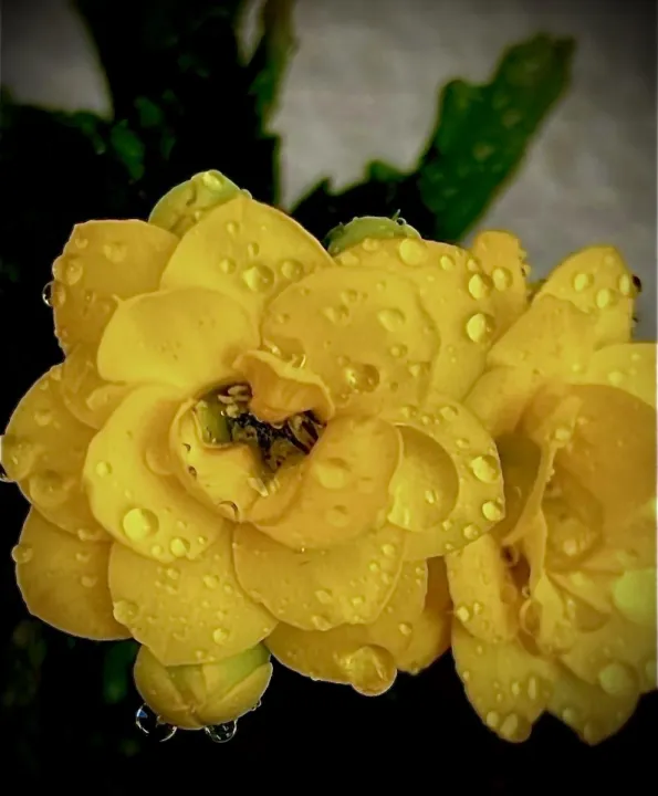 Anın Fotoğrafı