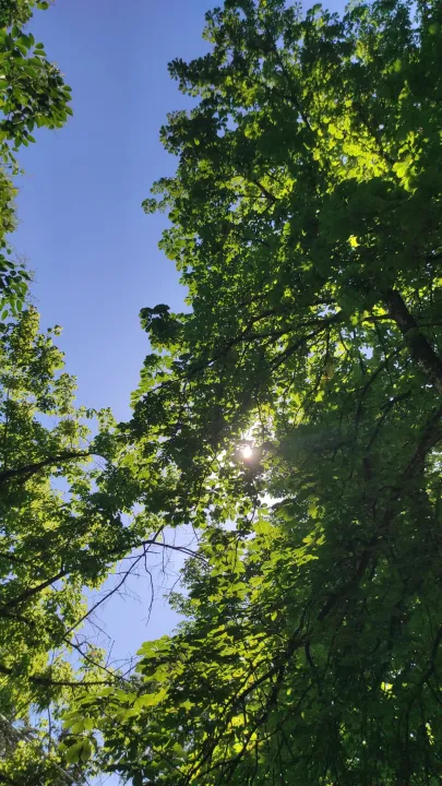 Anın Fotoğrafı
