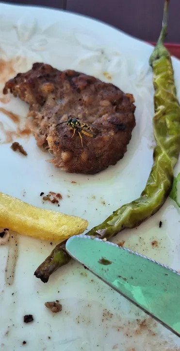 Anın Fotoğrafı