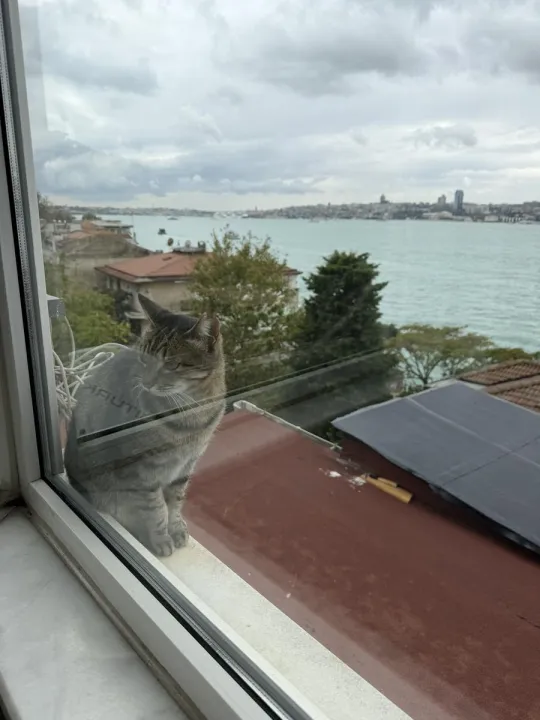 Anın Fotoğrafı