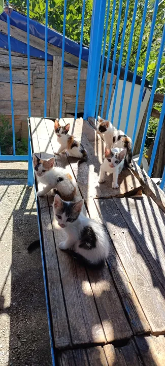 Anın Fotoğrafı