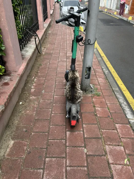 Anın Fotoğrafı