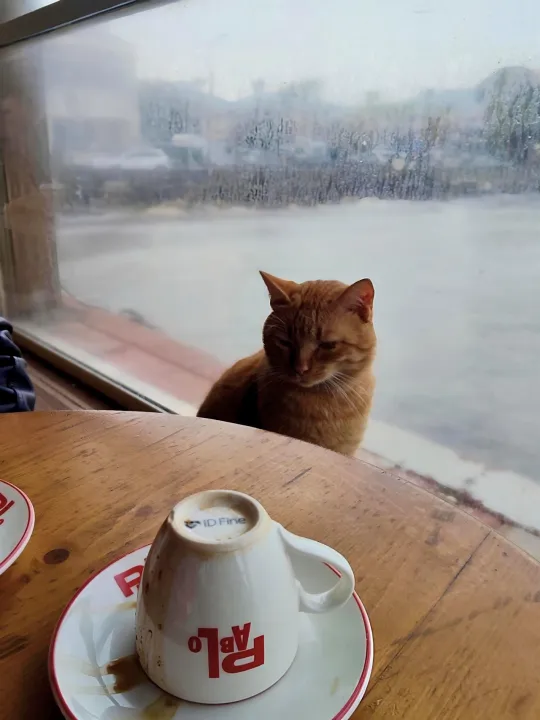 Anın Fotoğrafı