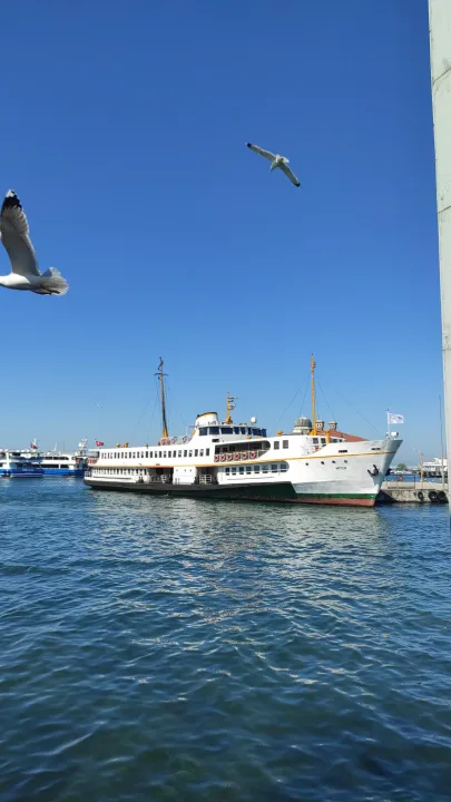 Anın Fotoğrafı