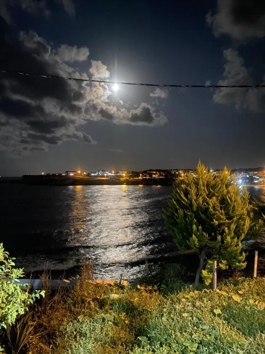 Anın Fotoğrafı