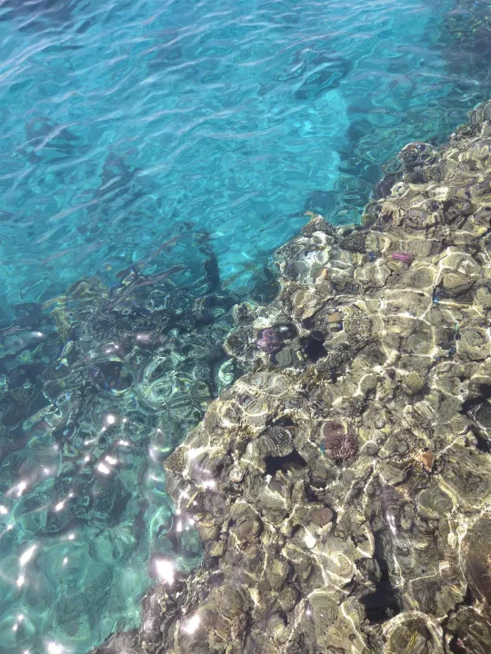 Anın Fotoğrafı