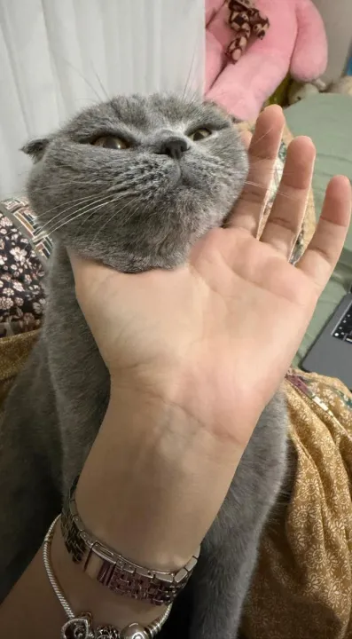 Anın Fotoğrafı
