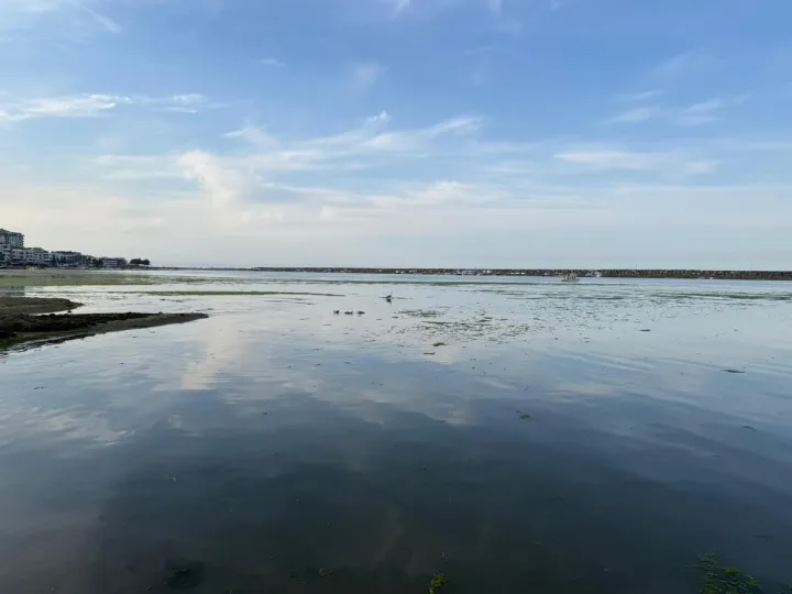 Anın Fotoğrafı