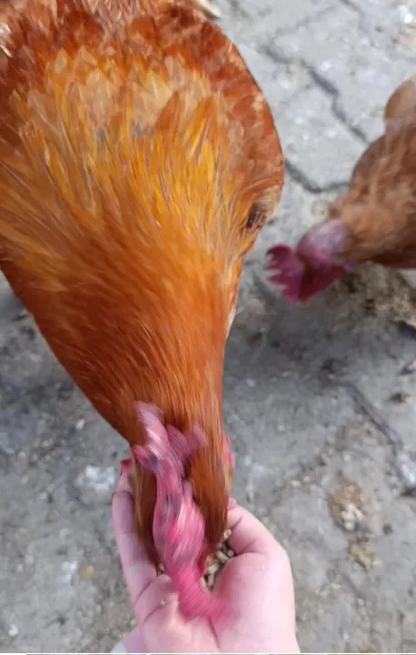 Anın Fotoğrafı