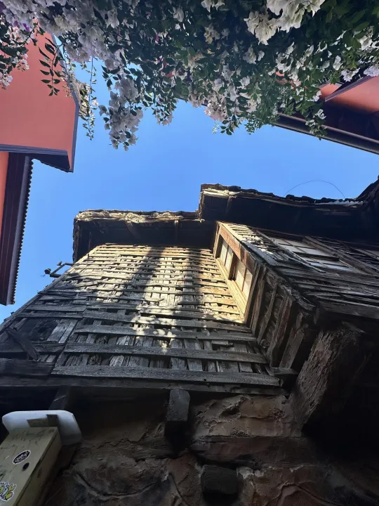 Anın Fotoğrafı