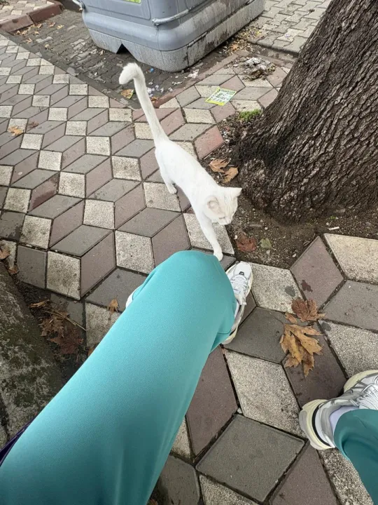 Anın Fotoğrafı