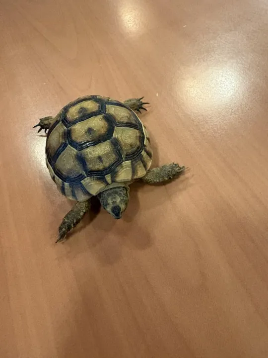 Anın Fotoğrafı
