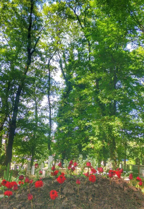 Anın Fotoğrafı
