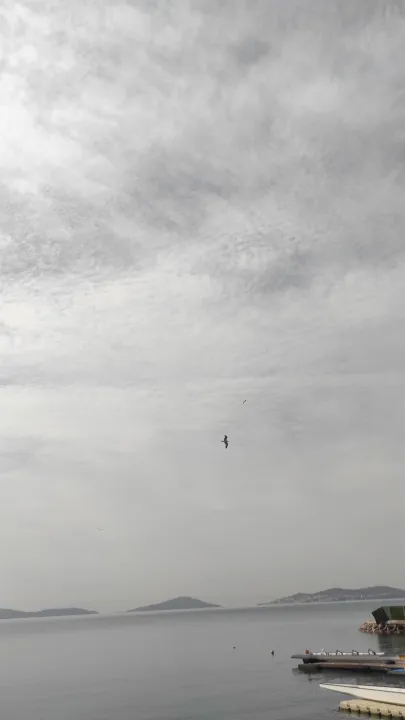 Anın Fotoğrafı