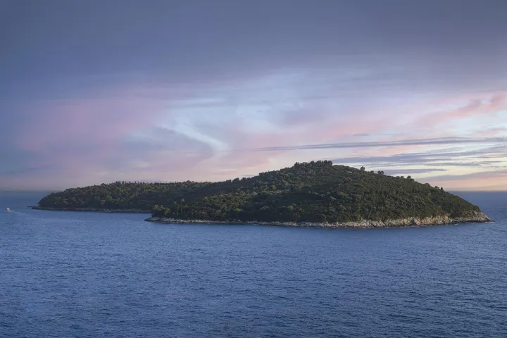 Anın Fotoğrafı