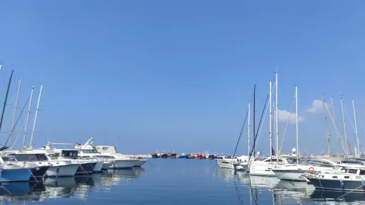 Çoklu paylaşım