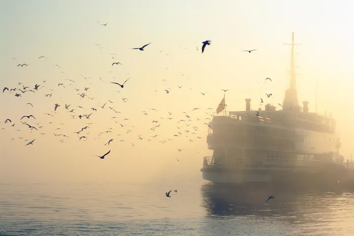 Çoklu paylaşım