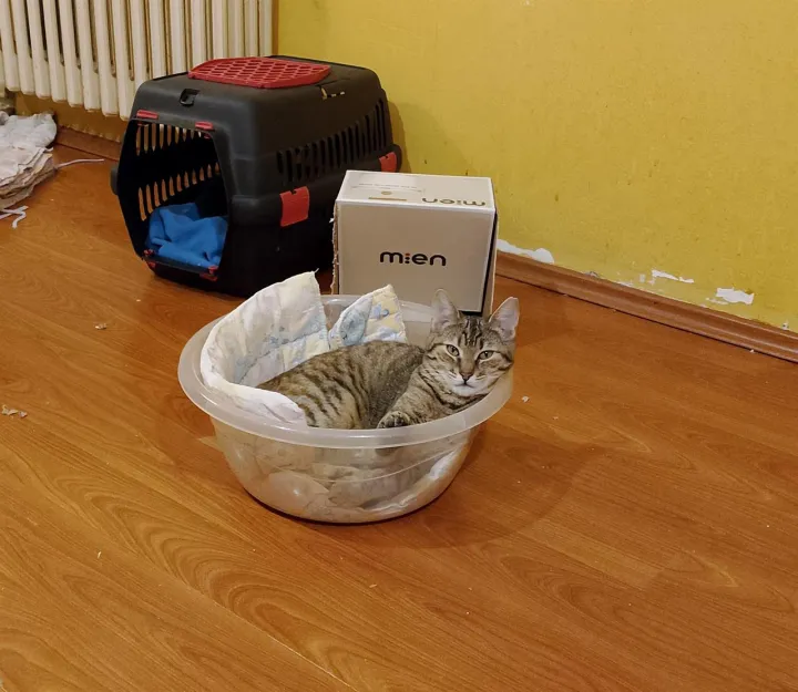 Anın Fotoğrafı