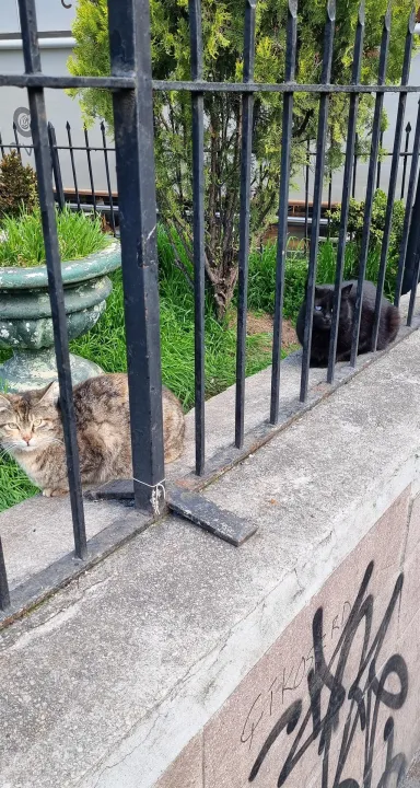 Anın Fotoğrafı